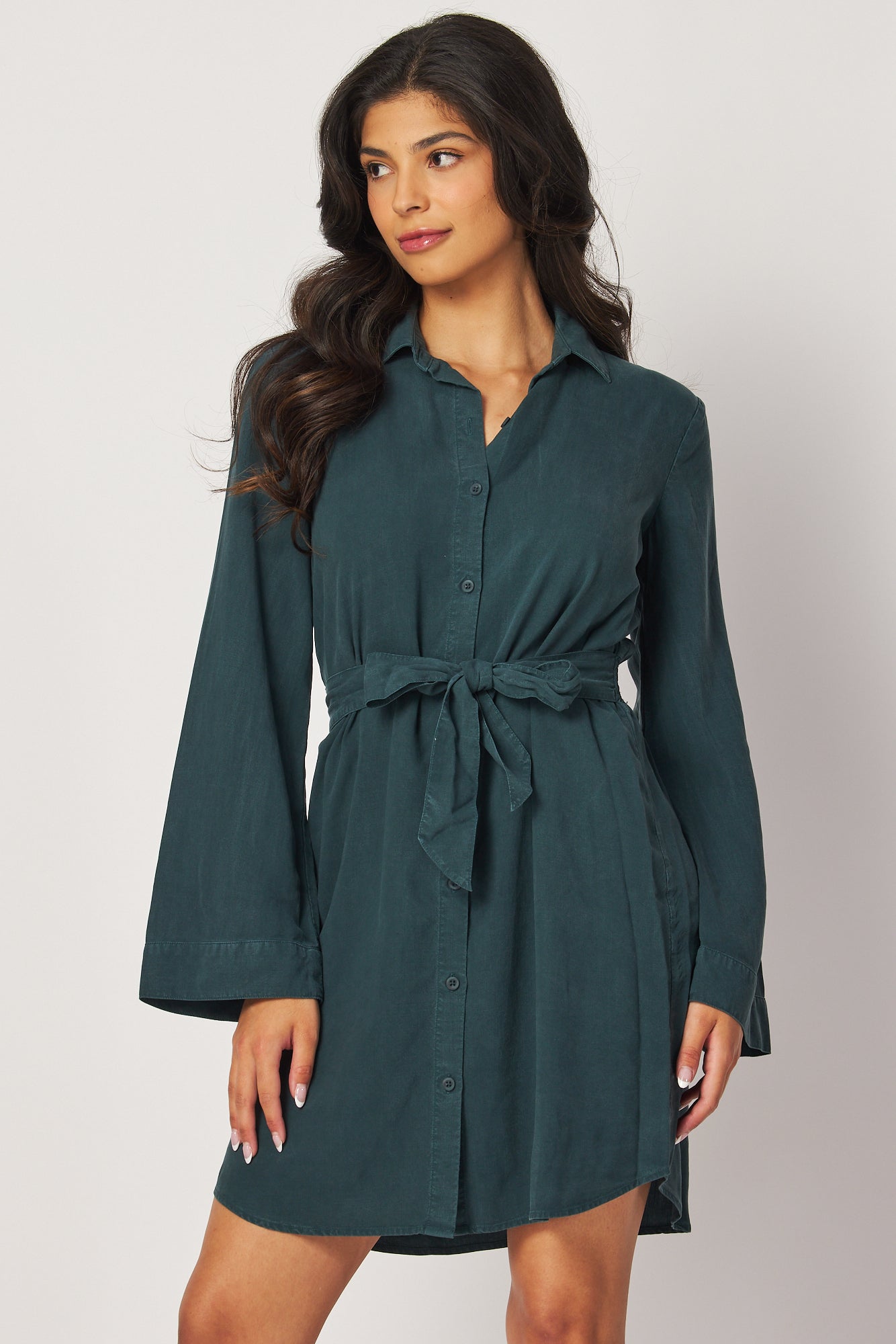 Mini Shirt Dress W/ Smocked Back - Jade Night