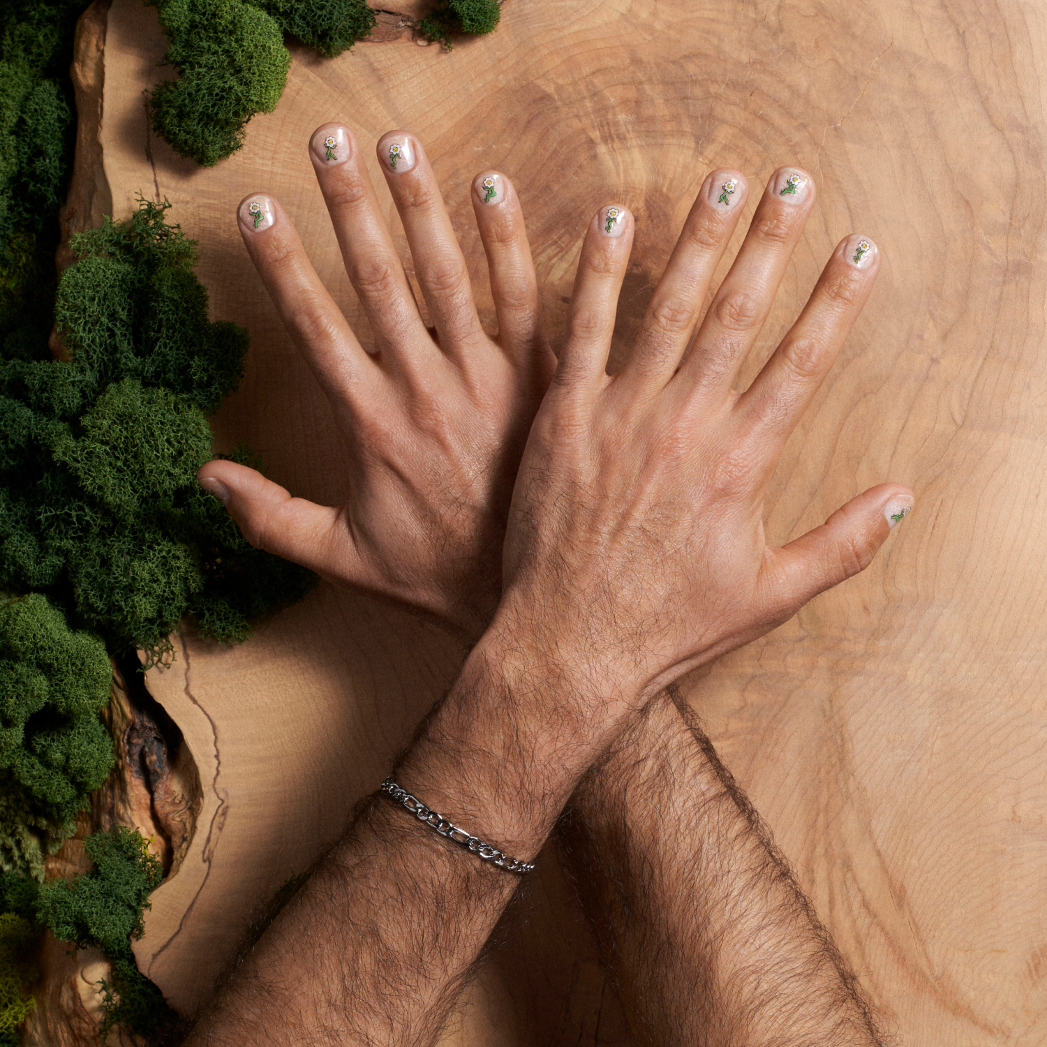 The Whole Dewniverse | Holographic