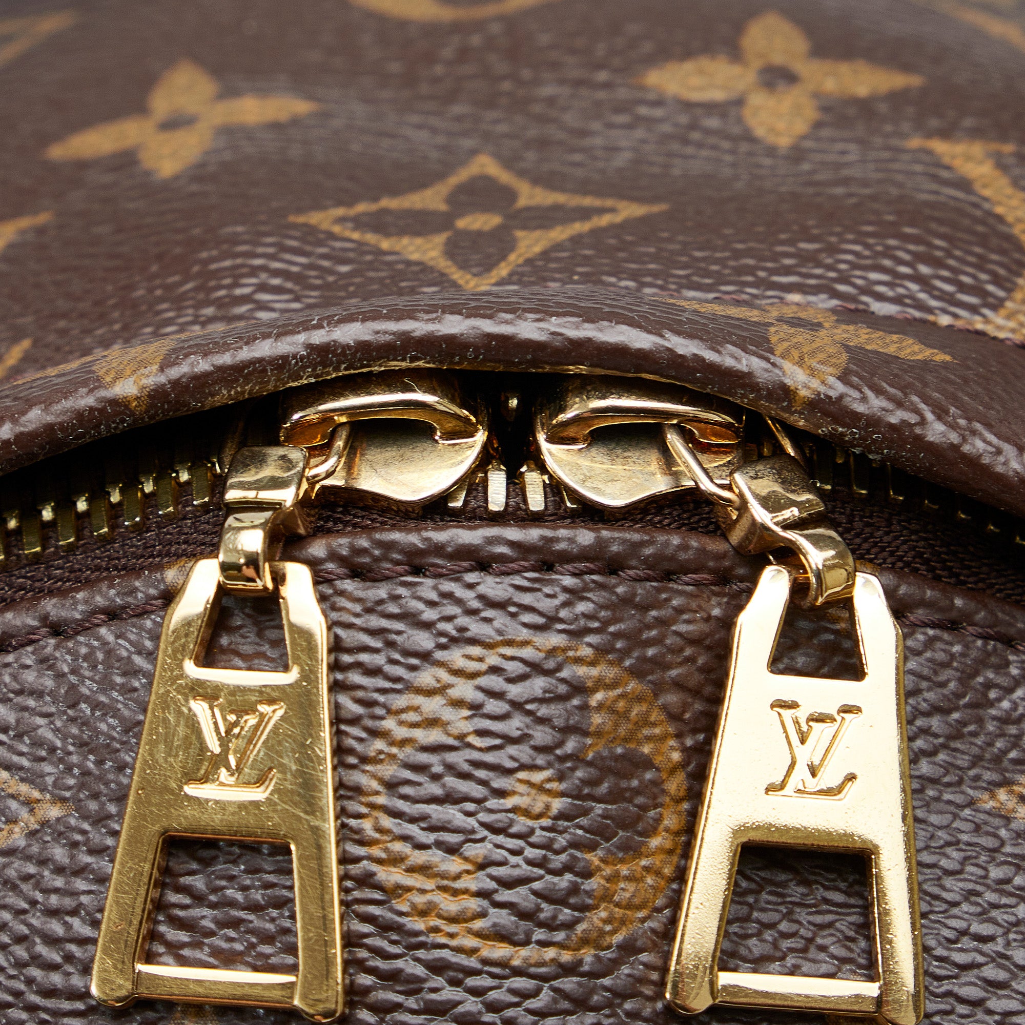 Louis Vuitton | Pre-Owned Monogram Palm Springs MM | Brown