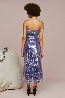 Amur | Braeylnn Mesh Sequin Midi | Neptune