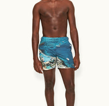 Bulldog Photographic Print Mid-Length Swim Shorts | Seaside Swimming