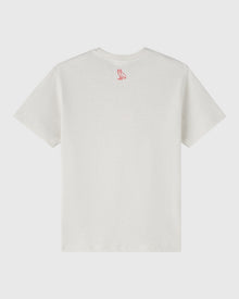 Mens | NFL Houston Texans Tee | Ash Heather Grey