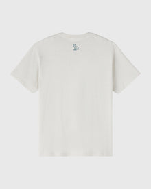 Mens | NFL Philadelphia Eagles Tee | Ash Heather Grey