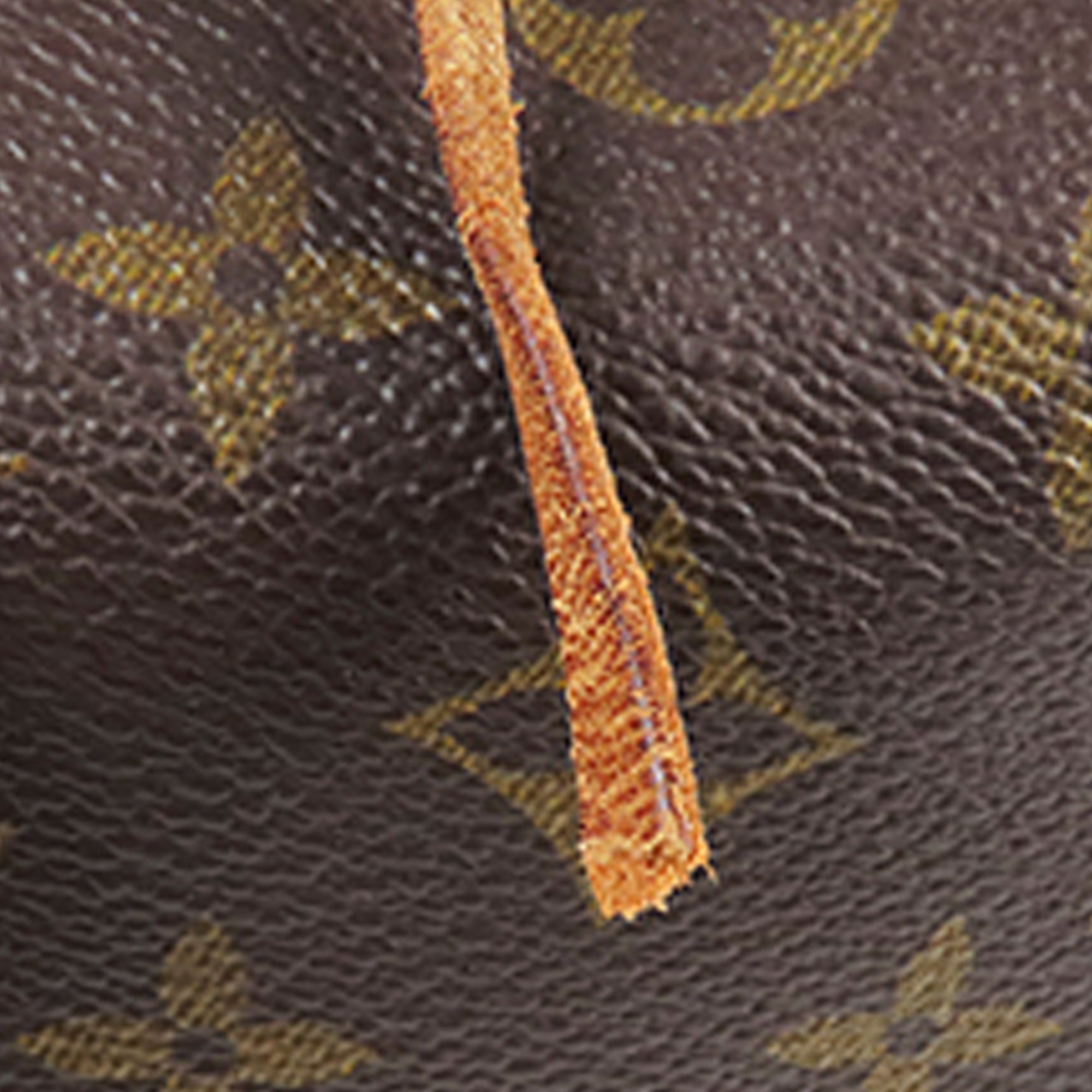 Louis Vuitton Pre-Owned Monogram Noe GM | Women | Brown