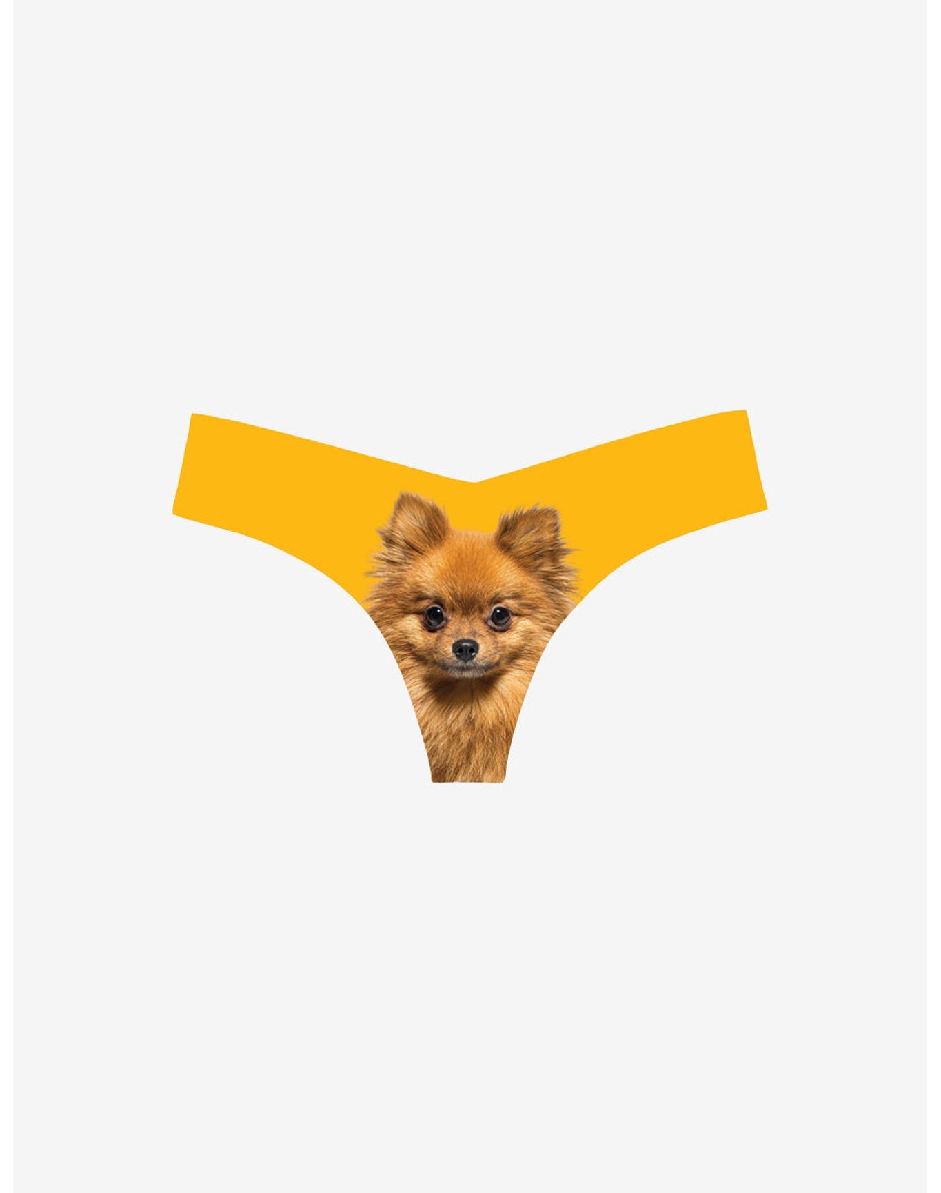 Classic Photo-Op Thong | Photo-Op Pomeranian