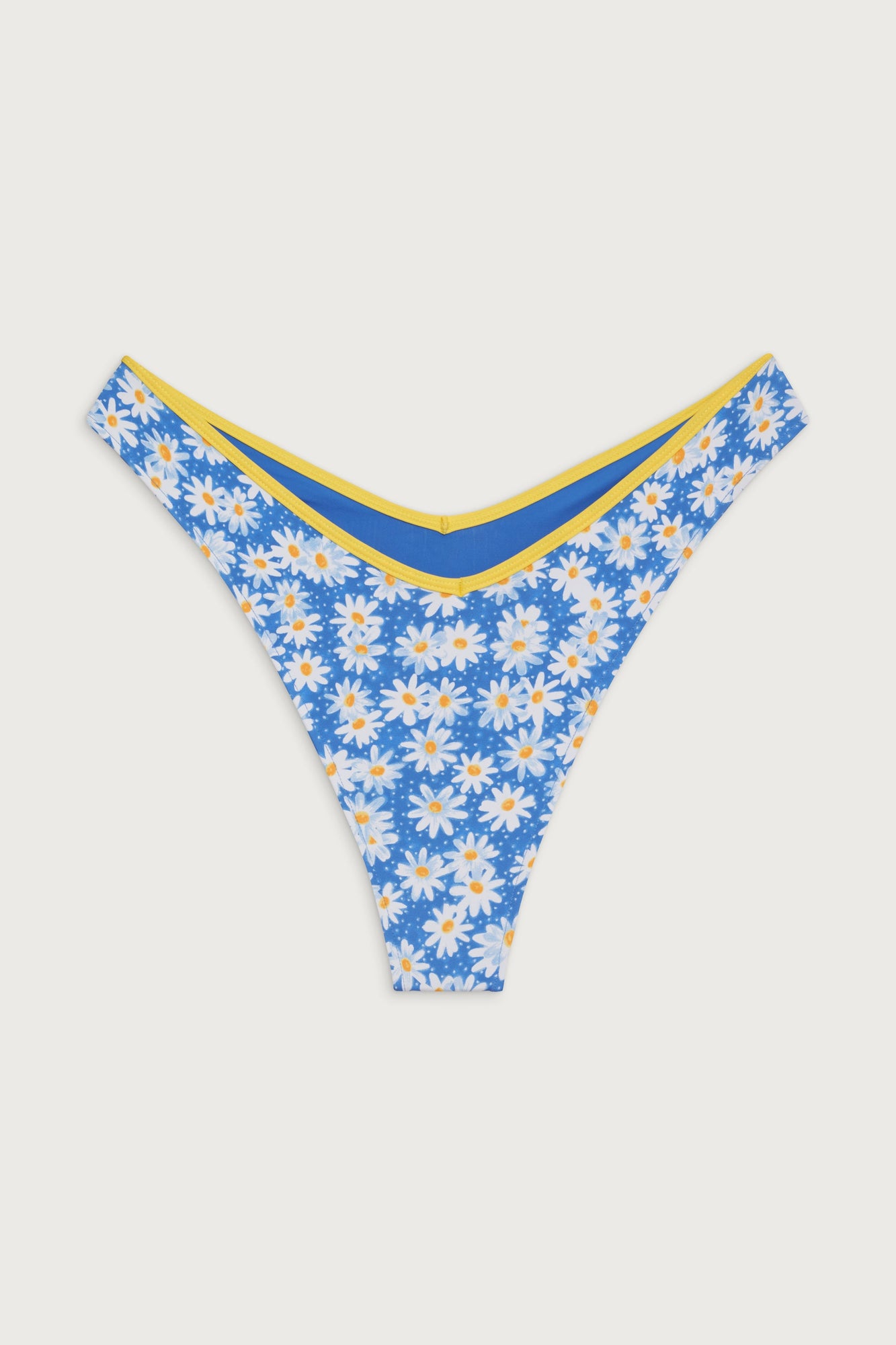 Enzo Cheeky Bikini Bottom - Blue Daisy