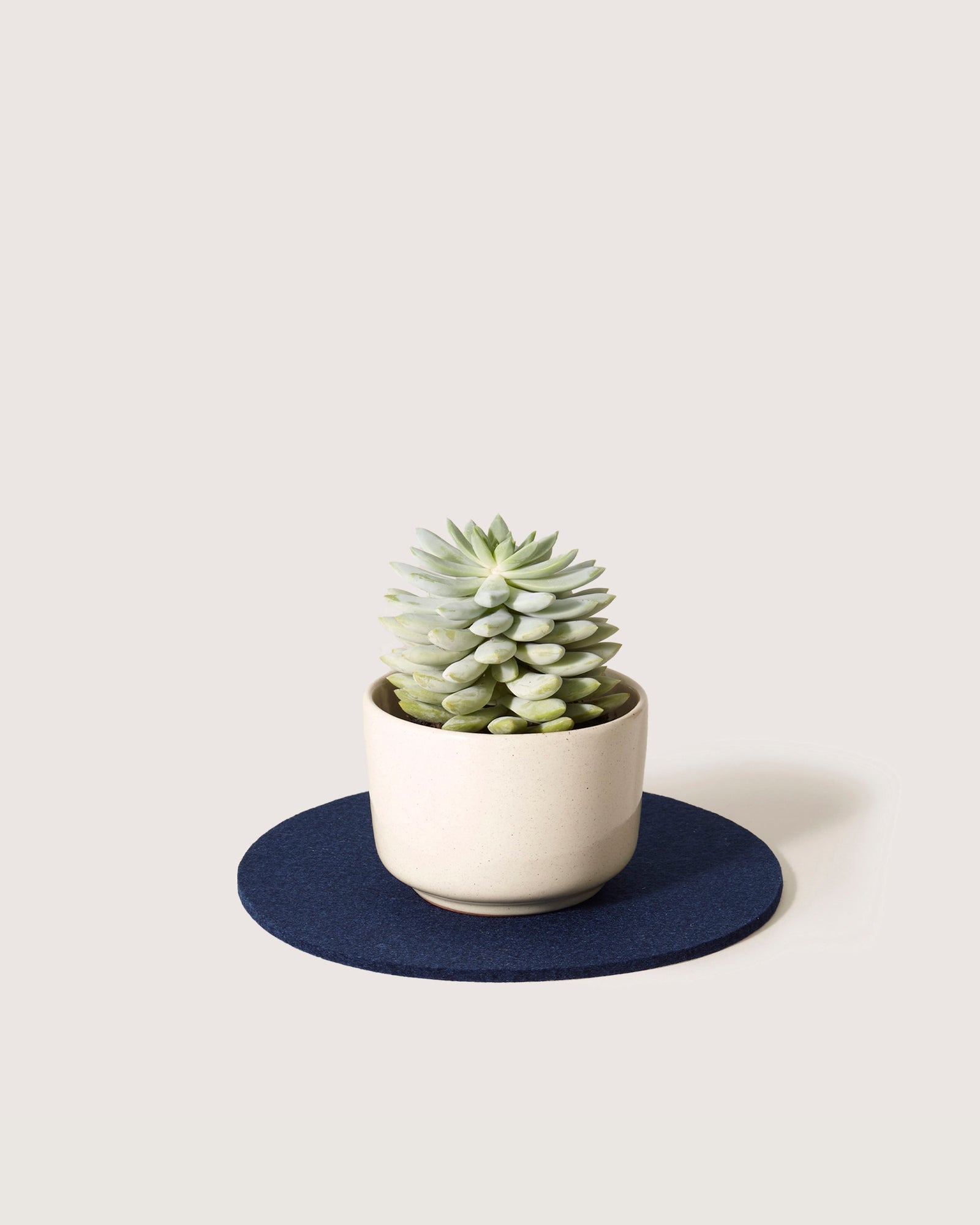 Merino Wool 10" Round Trivet | Marine