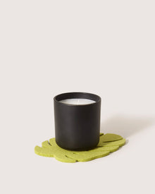 Small | Merino Wool Monstera Trivet | Pistachio