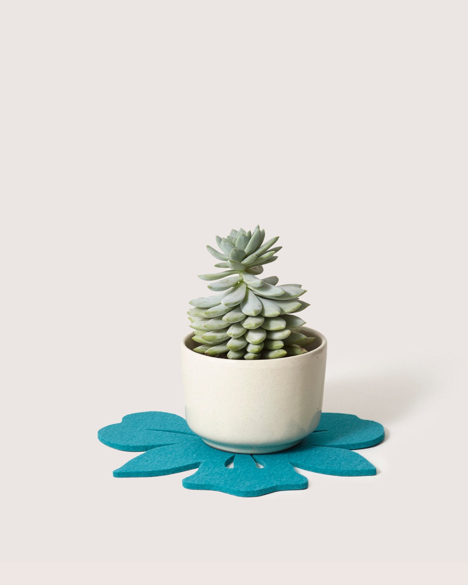 Merino Wool Orchid Trivet | Turquoise