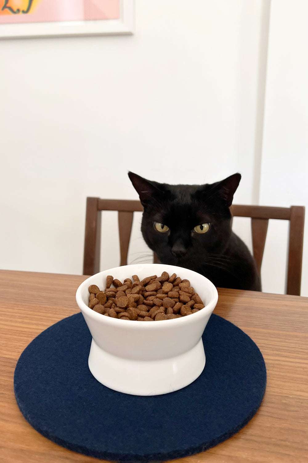 A black cat sits at a table, focused on a white bowl of cat food placed on a heat-resistant blue graf lantz mat, with a white wall and partially visible framed artwork in the background.