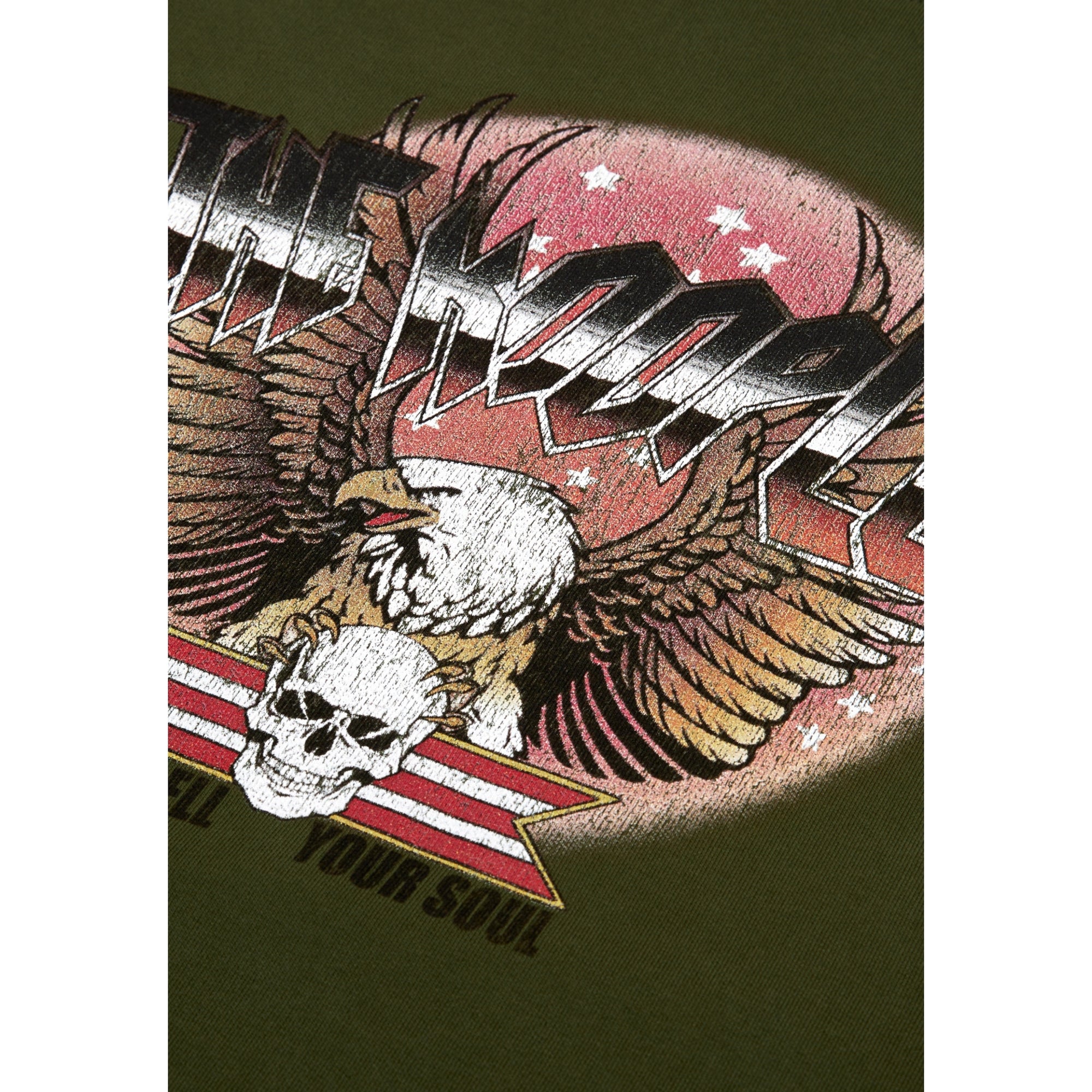 Sweatshirt With Rock Eagle Serigraphy | Men | Khaki