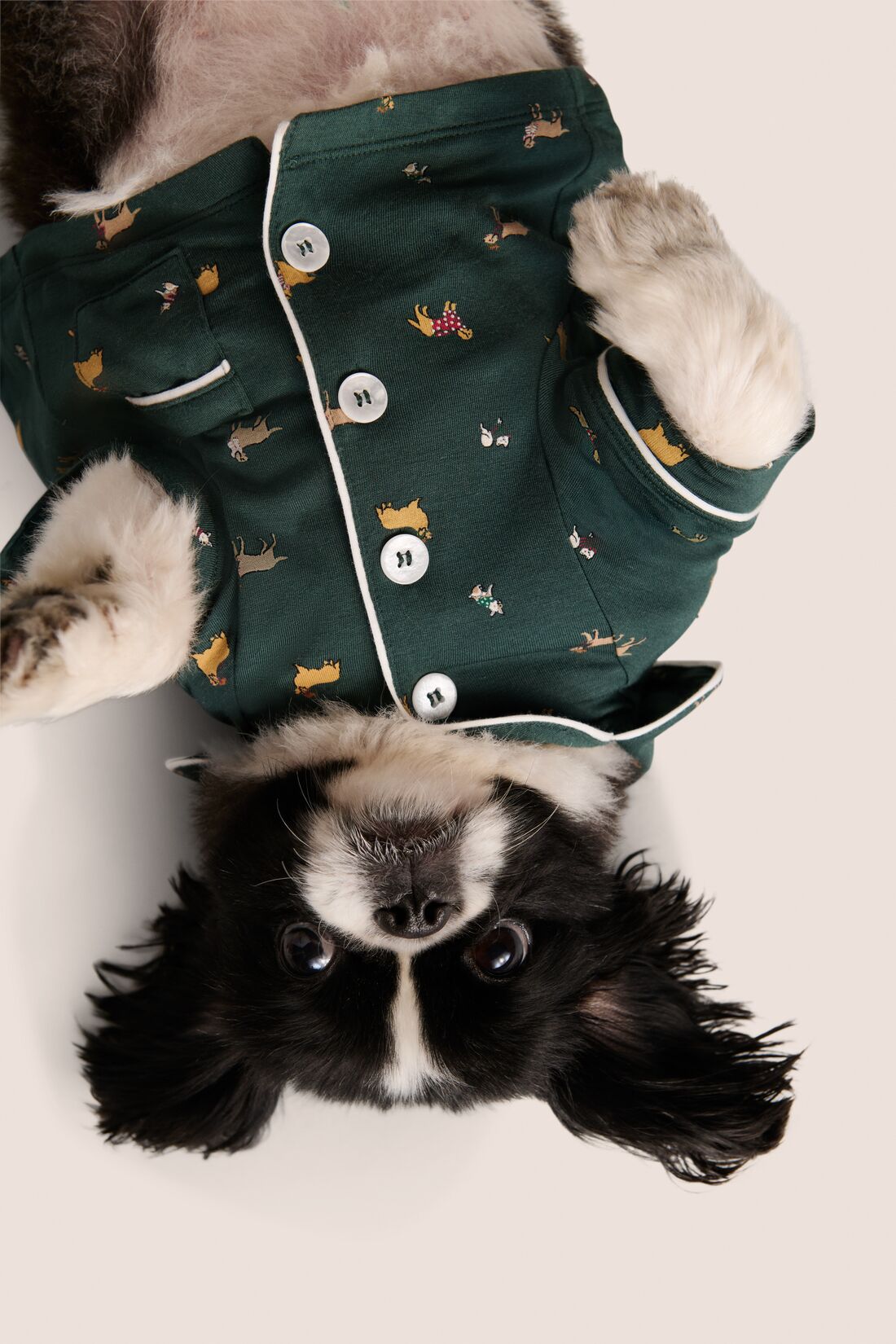 Model is wearing Gisele Printed TENCEL Modal Pet PJ  in Holiday Dogs Pine/Ivory