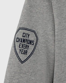 Mens | Varsity O Quarter-Zip Hoodie | Heather Grey