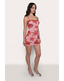 Mesh Mini Dress | Pink Rose