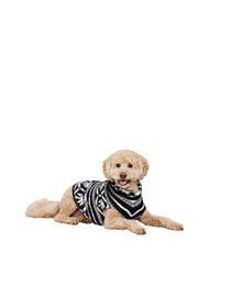 Pet | Cozychic Malibu Fair Isle Sweater | Black-Cream