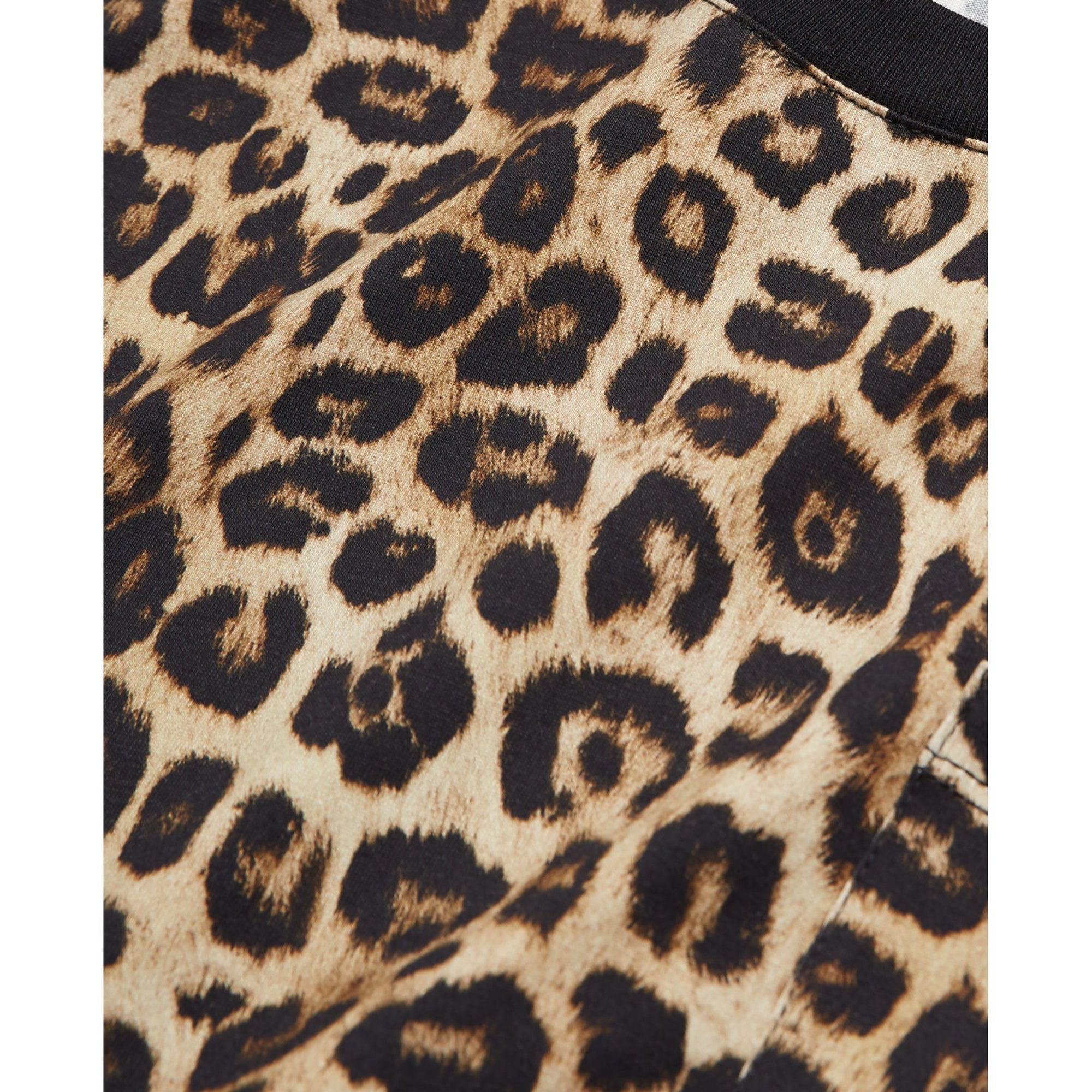 Print T-Shirt | Men | Leopard