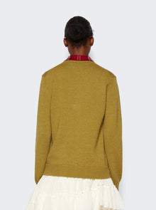 Women | Loewe | Trompe L'oeil Sweater | Green