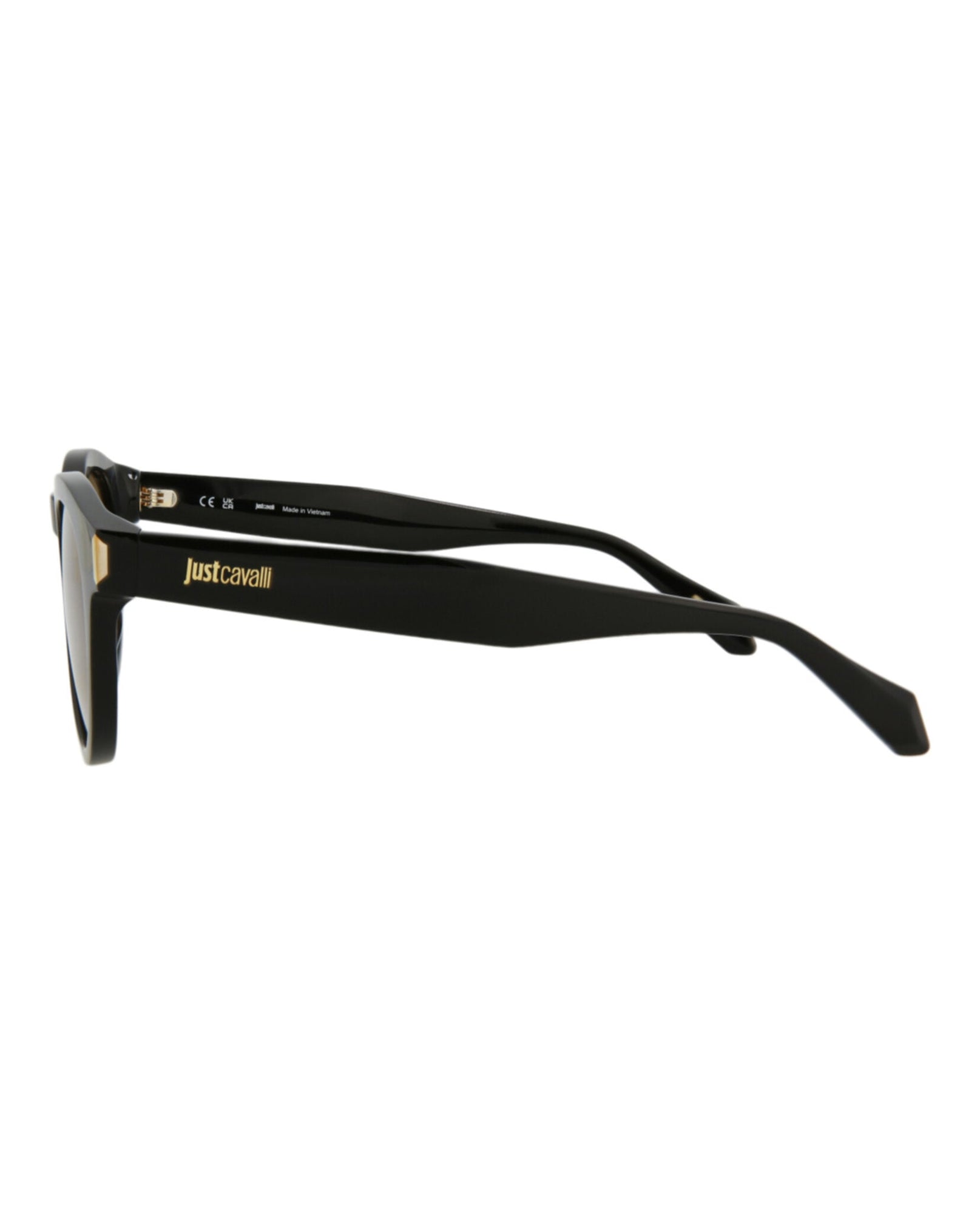 Just Cavalli Round Acetate Sunglasses | Black