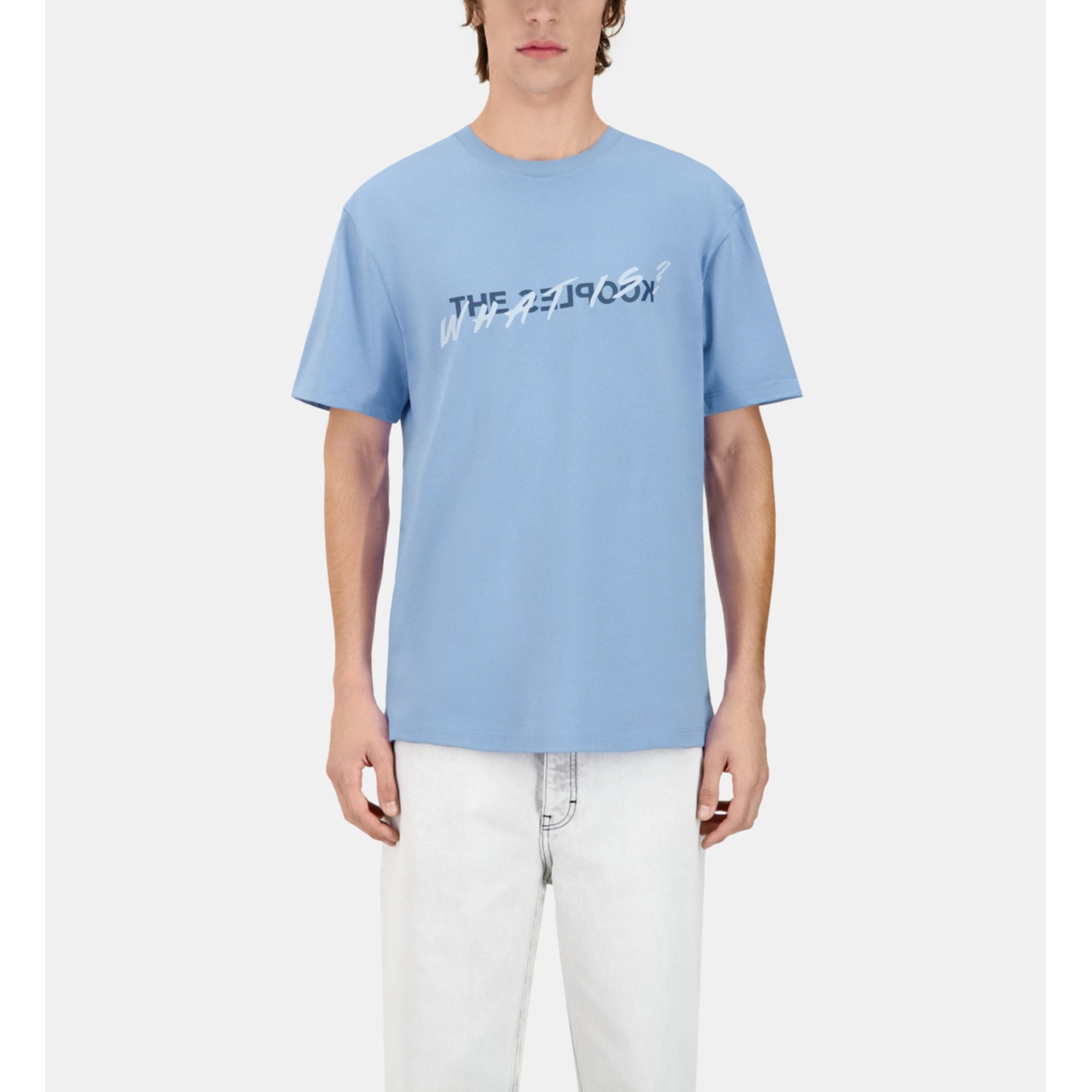 Sky What Is T-Shirt | Men | Steel Blue