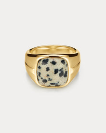 The Palma Signet Ring | Dalmatian Jasper | Gold