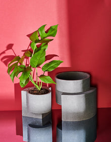 Platform Planter Set | Graphite