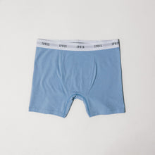 Periwinkle-Classic-Cotton-Boxer-Brief