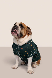 Model is wearing Gisele Printed TENCEL Modal Pet PJ  in Holiday Dogs Pine/Ivory