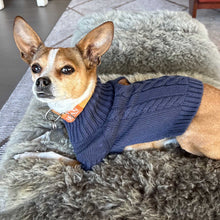 Dixie Dog Sweater | Light Navy