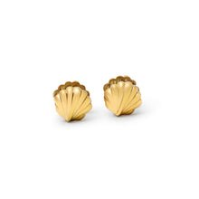 THE TINY SEASHELL EARRINGS - The M Jewelers