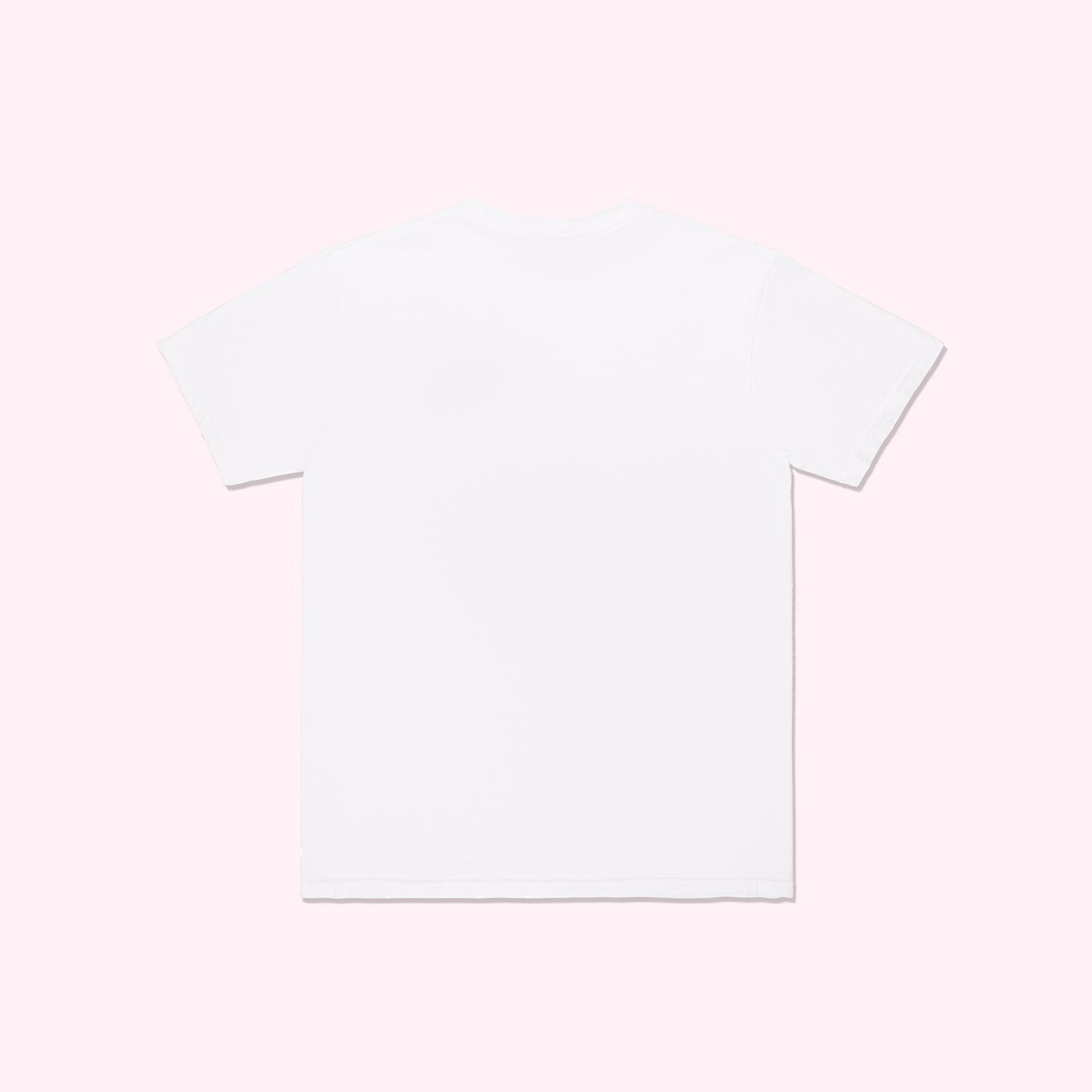 Canvas T-Shirt White SCL Anchor