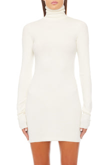 LONG SLEEVE TURTLENECK MINI DRESS - ETERNE
