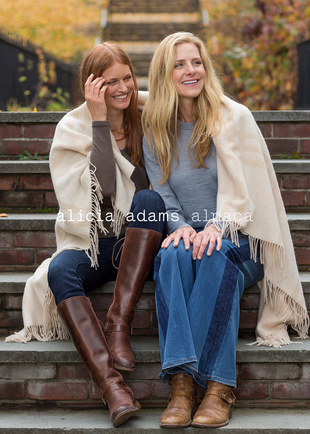 alicia adams alpaca