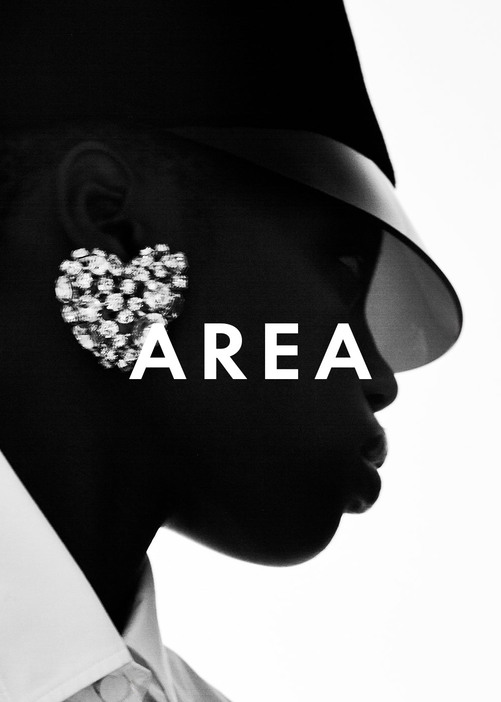 AREA, (LaFA) NY
