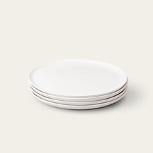Dinner Plates | Speckled White
